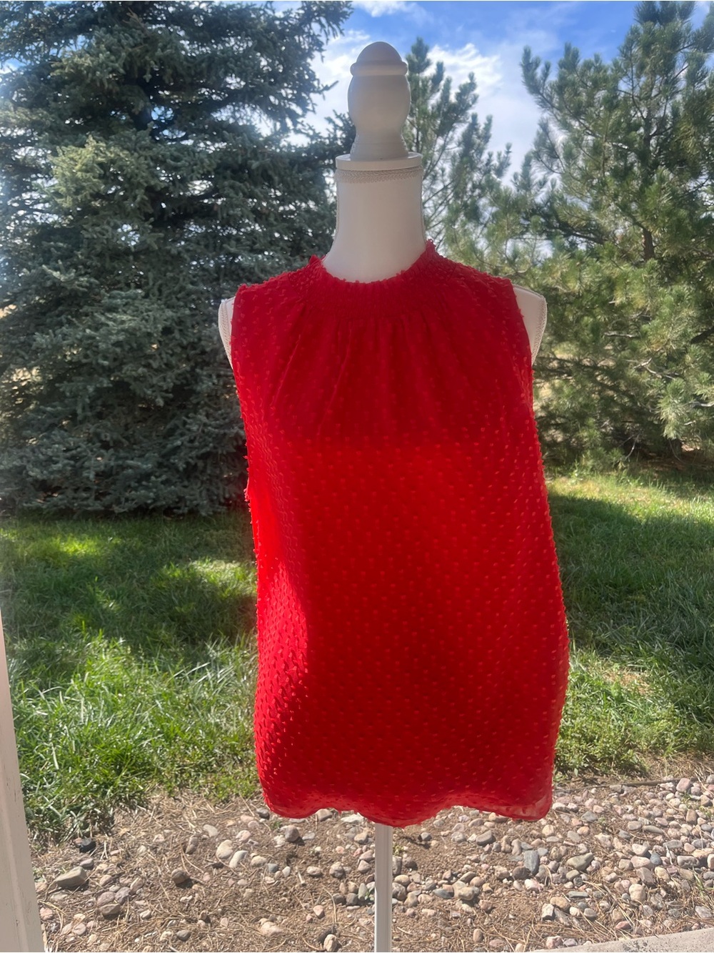 Daniel Rainn Red Sleeveless Shirred Neck Chemise Top